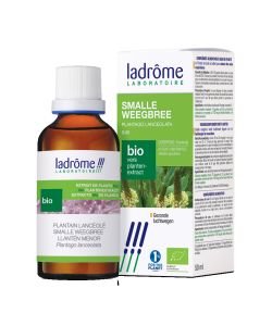 Plantain lancéolé - extrait de plante fraîche BIO, 50 ml